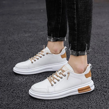 gid://shopify/MediaImage/41238660972833