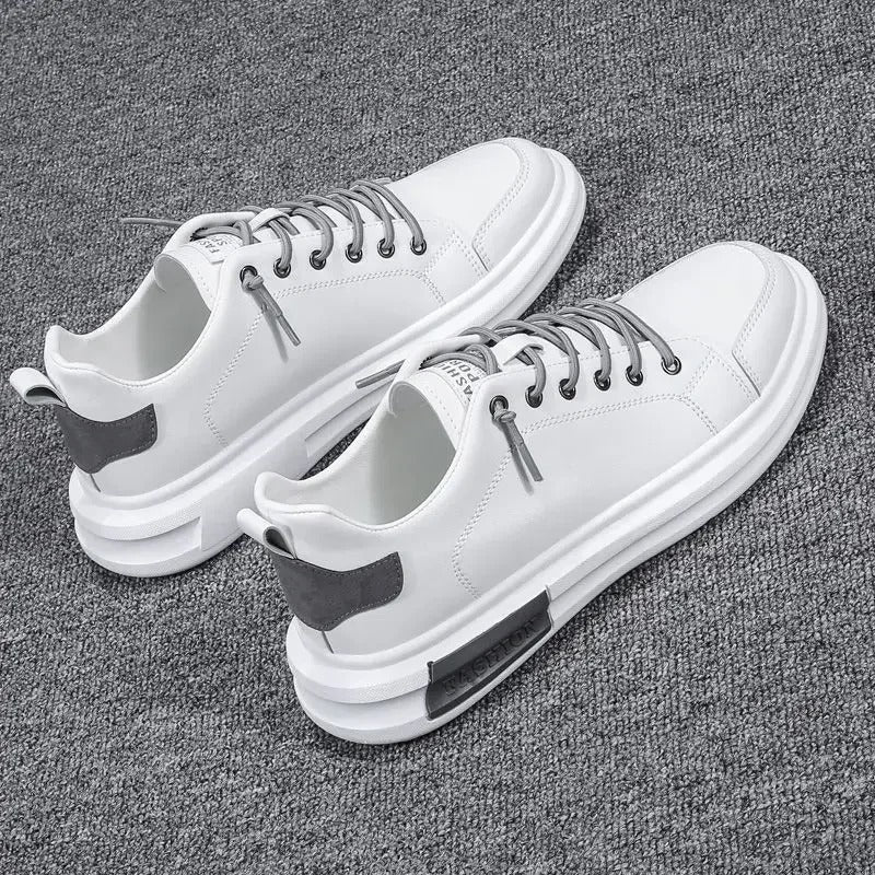 gid://shopify/MediaImage/41238661103905