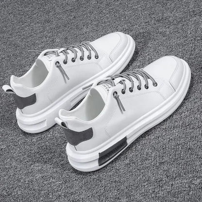 gid://shopify/MediaImage/41238661103905